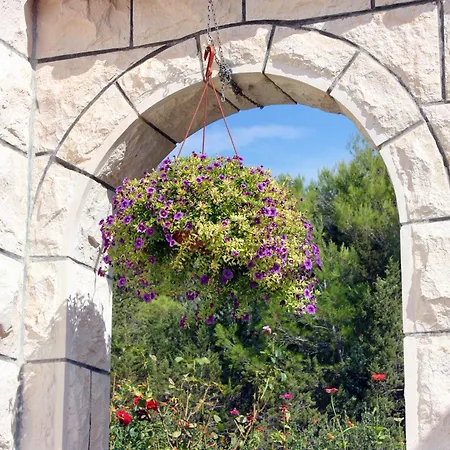 Apartmán By The Sea Sumartin, Brac - 4803 Sumartin